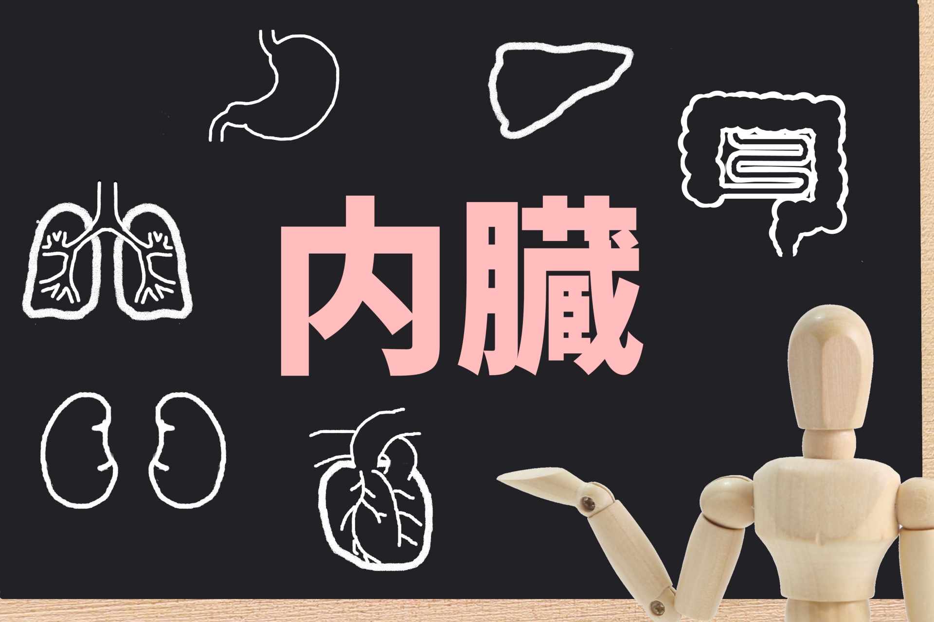 内臓